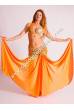 Ayeh bellydance costume