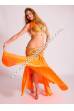 Ayeh bellydance costume