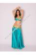 Chloé´s bellydance costume Bashira