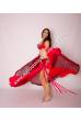 Chloé´s bellydance costume Phedre