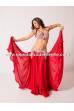 Chloé´s bellydance costume Shala