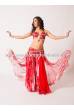 Parijan Costume