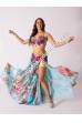 Reema bellydance costume