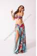 Reema bellydance costume