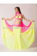 Bellydance basic costume Raizel
