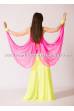 Bellydance basic costume Raizel