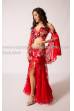 Chloé´s bellydance Exclusive costume 256