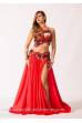 Chloé´s bellydance Exclusive costume 358