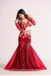 Chloé´s bellydance Exclusive costume 521