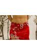 Chloé´s bellydance Exclusive costume 527