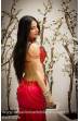 Chloé´s bellydance Exclusive costume 530