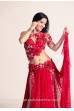 Chloé´s bellydance Exclusive costume 542