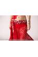 Chloé´s bellydance costume Faiza
