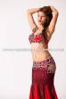 Chloé´s bellydance costume Sahla