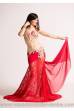 Chloé´s bellydance costume Yasmin