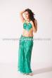 Ebru bellydance costume