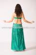 Ebru bellydance costume