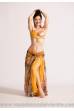 Hamida bellydance costume