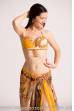 Hamida bellydance costume