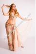 Abia bellydance costume