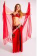 Ashaki bellydance costume