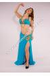 Baseema bellydance costume