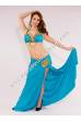 Baseema bellydance costume