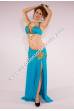 Baseema bellydance costume