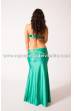 Bellydance basic costume Seyyal