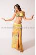 Bellydance basic costume Rabab