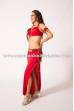 Bellydance basic costume Wafa