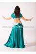 Chloé´s bellydance costume Phila