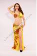 Faaria bellydance costume
