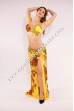 Faaria bellydance costume