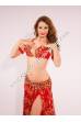 Fawziya bellydance costume