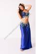 Harika bellydance costume