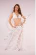 Jessenia bellydance costume