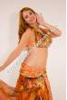 Leylak bellydance costume
