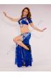 Mehira bellydance costume