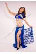 Mehira bellydance costume