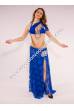 Mehira bellydance costume