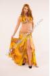 Orna bellydance costume