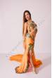 Raaida bellydance costume