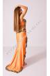 Raaida bellydance costume