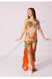 Raaida bellydance costume
