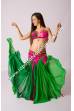 Rabie bellydance costume