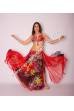 Rananah bellydance costume