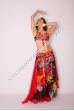 Rananah bellydance costume