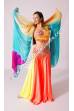 Safiya bellydance costume