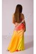 Safiya bellydance costume